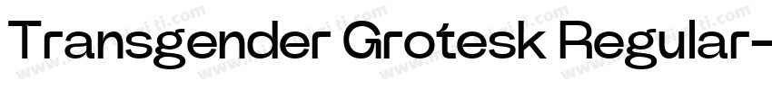 Transgender Grotesk Regular字体转换